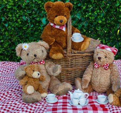 Teddy Bear picnic at Oystermouth Castle