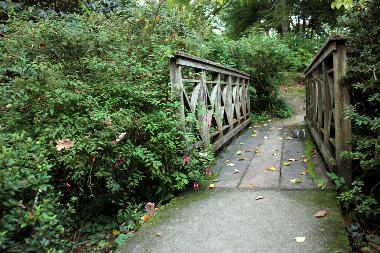 Bridge at Clyne Gardens