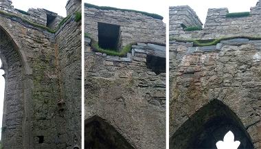 Oystermouth Castle conservation update Nov 21