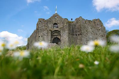 Oystermouth Castle Guided Tours